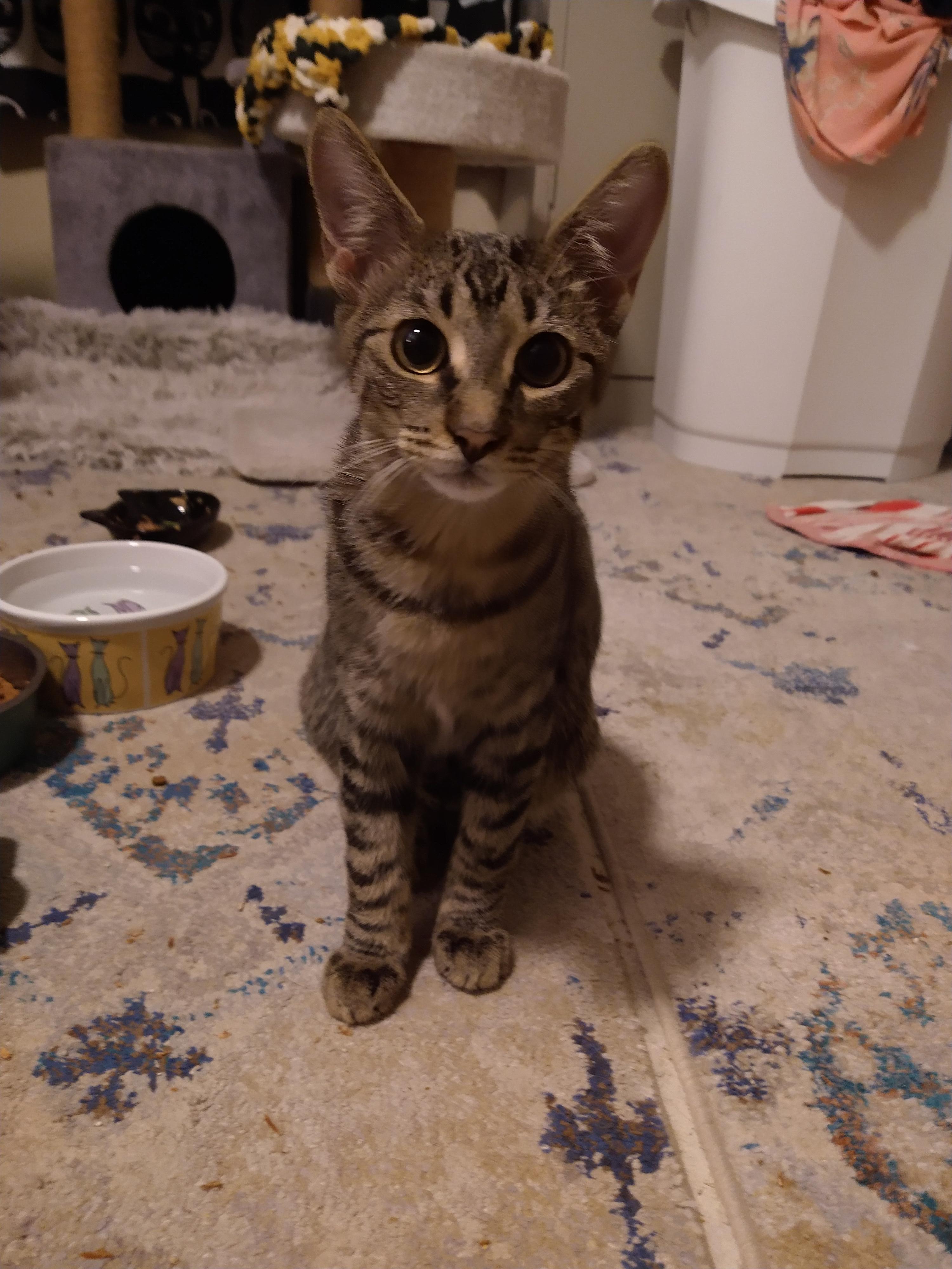 Eli~the precious baby! 4