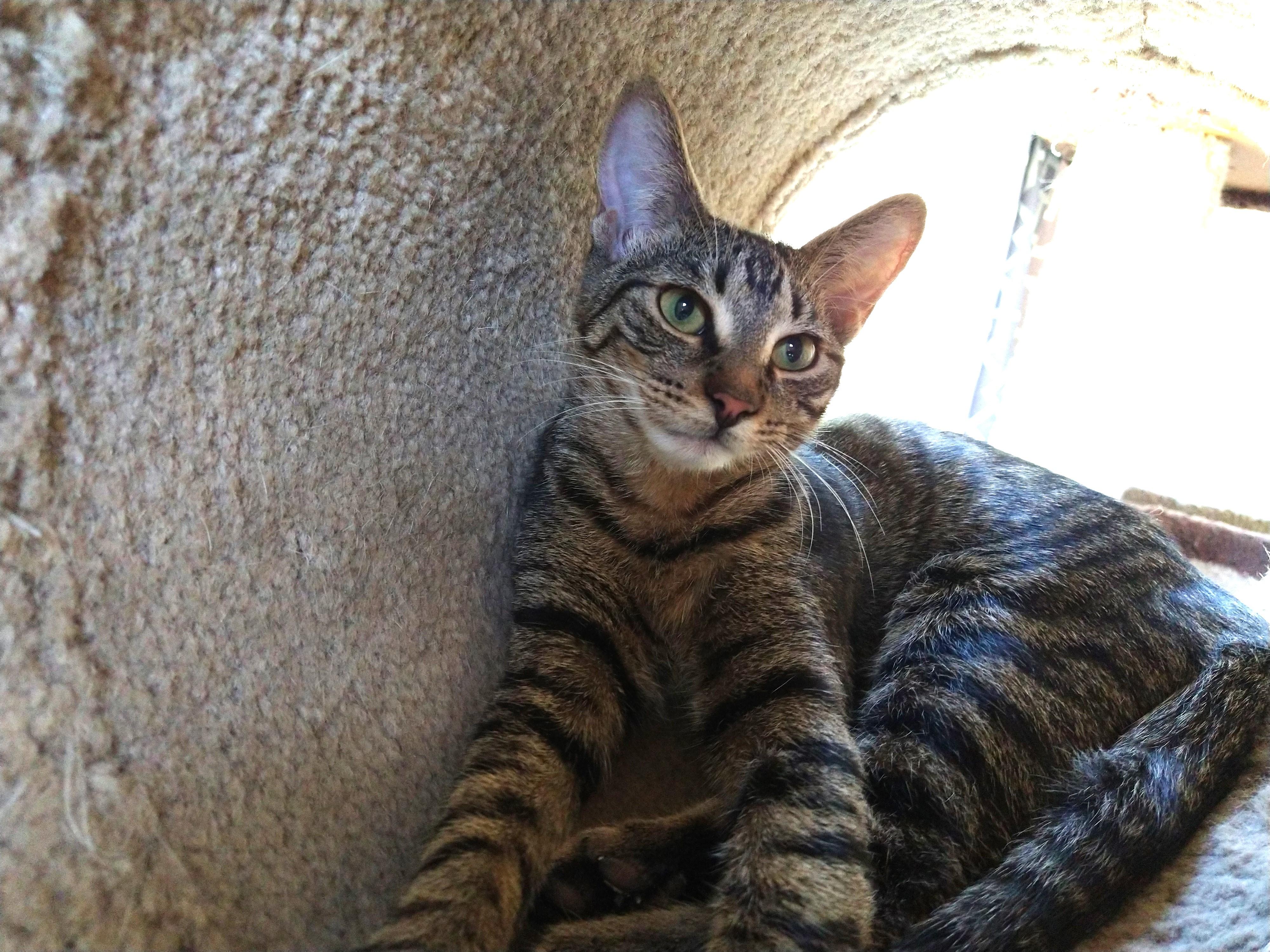 Eli~the precious baby! 6