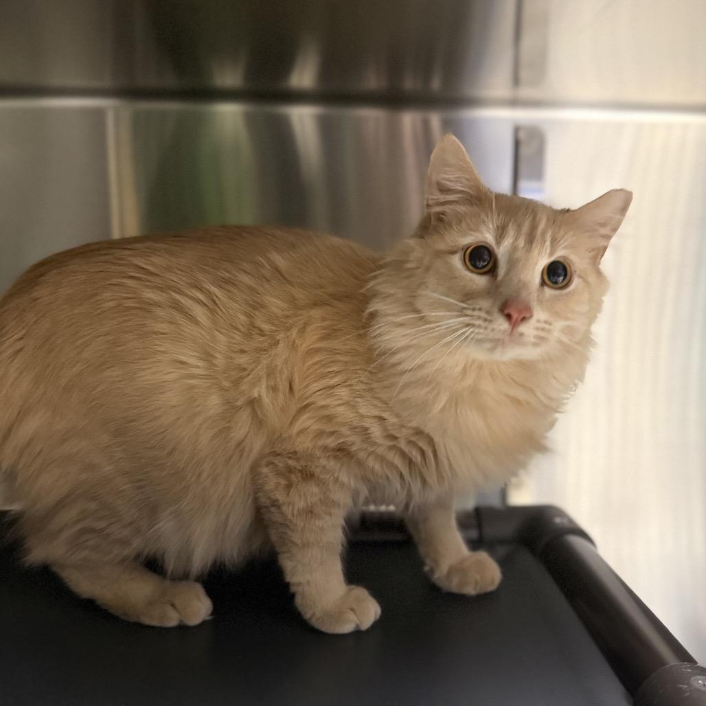 Sunny "Sasha" — thumbnail 2