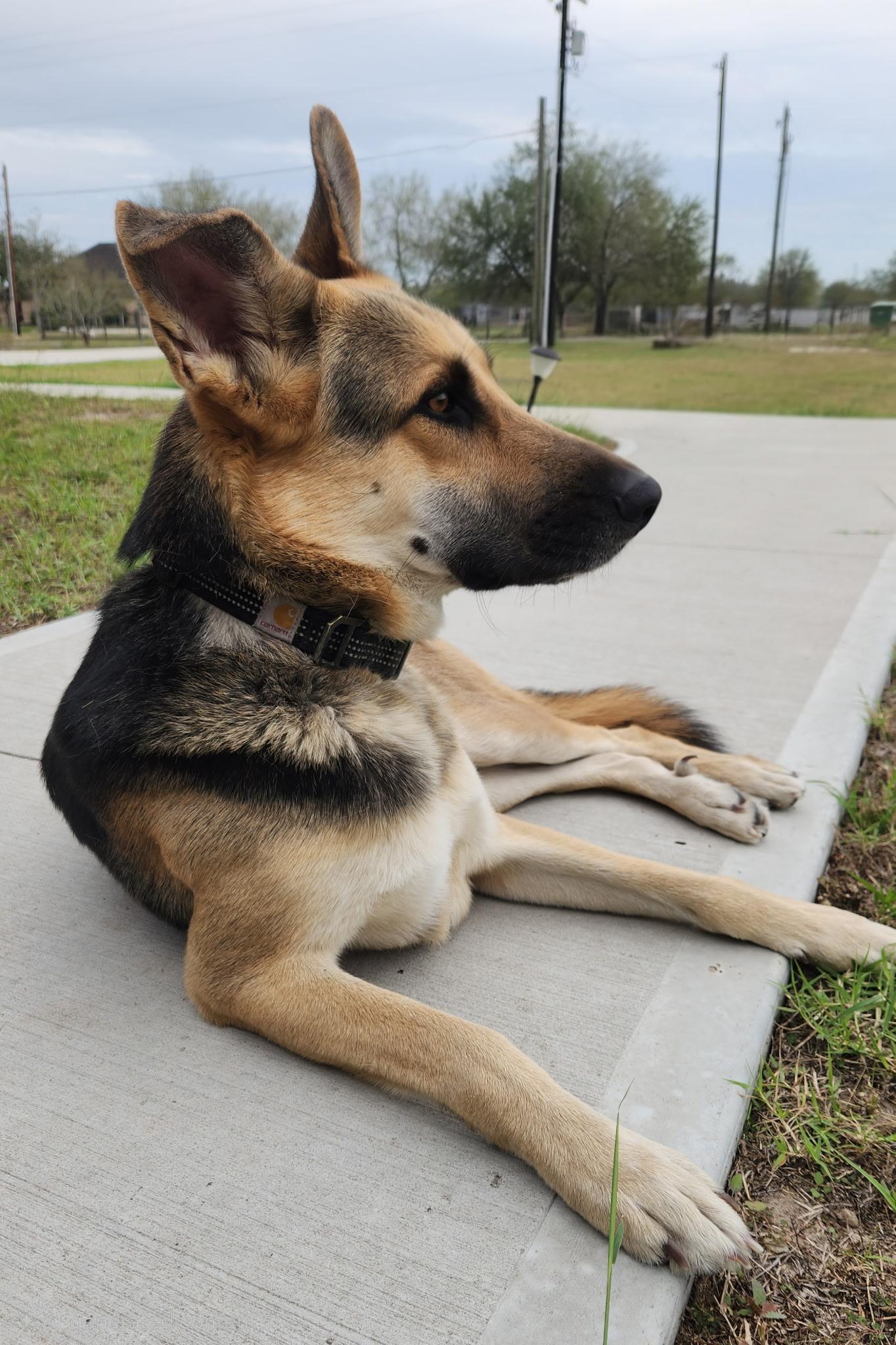 Howdy — thumbnail 3