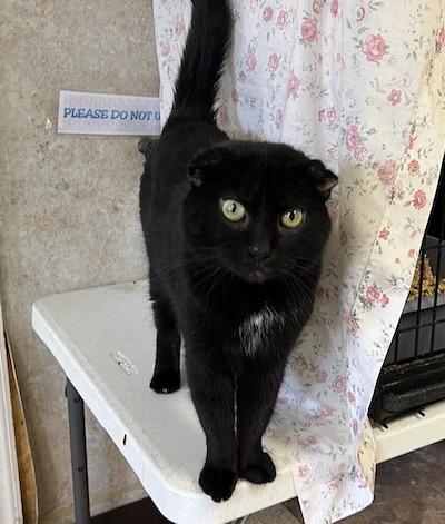 Lil' — thumbnail 2