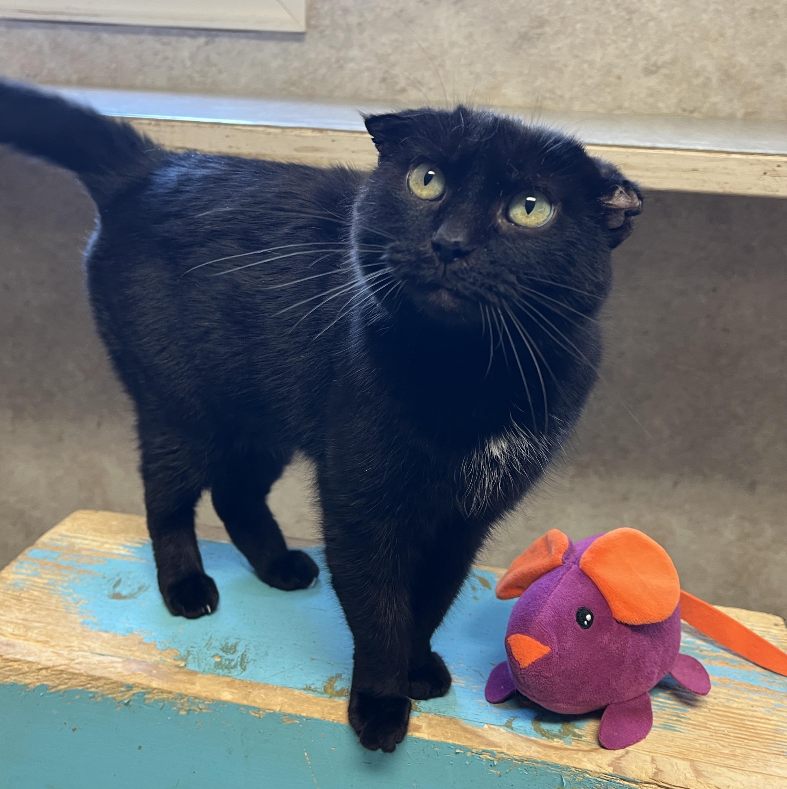 Lil' — thumbnail 3