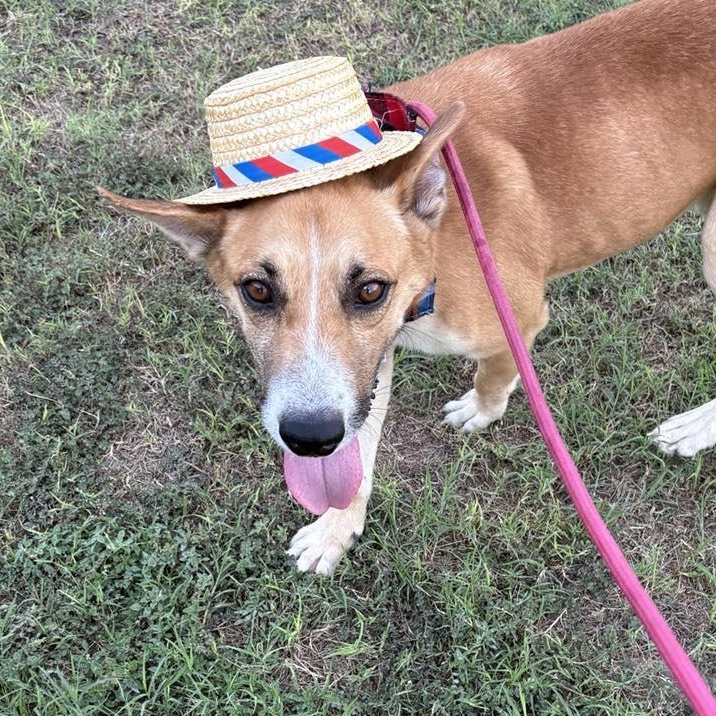 Flako — thumbnail 3