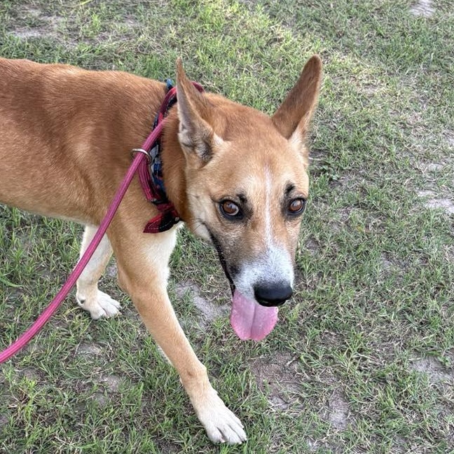 Flako — thumbnail 6