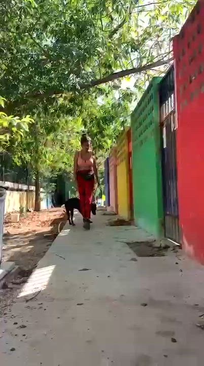 Enlarge Oliver, a ADOPTABLE mixed breed in New York, NY video 5/6