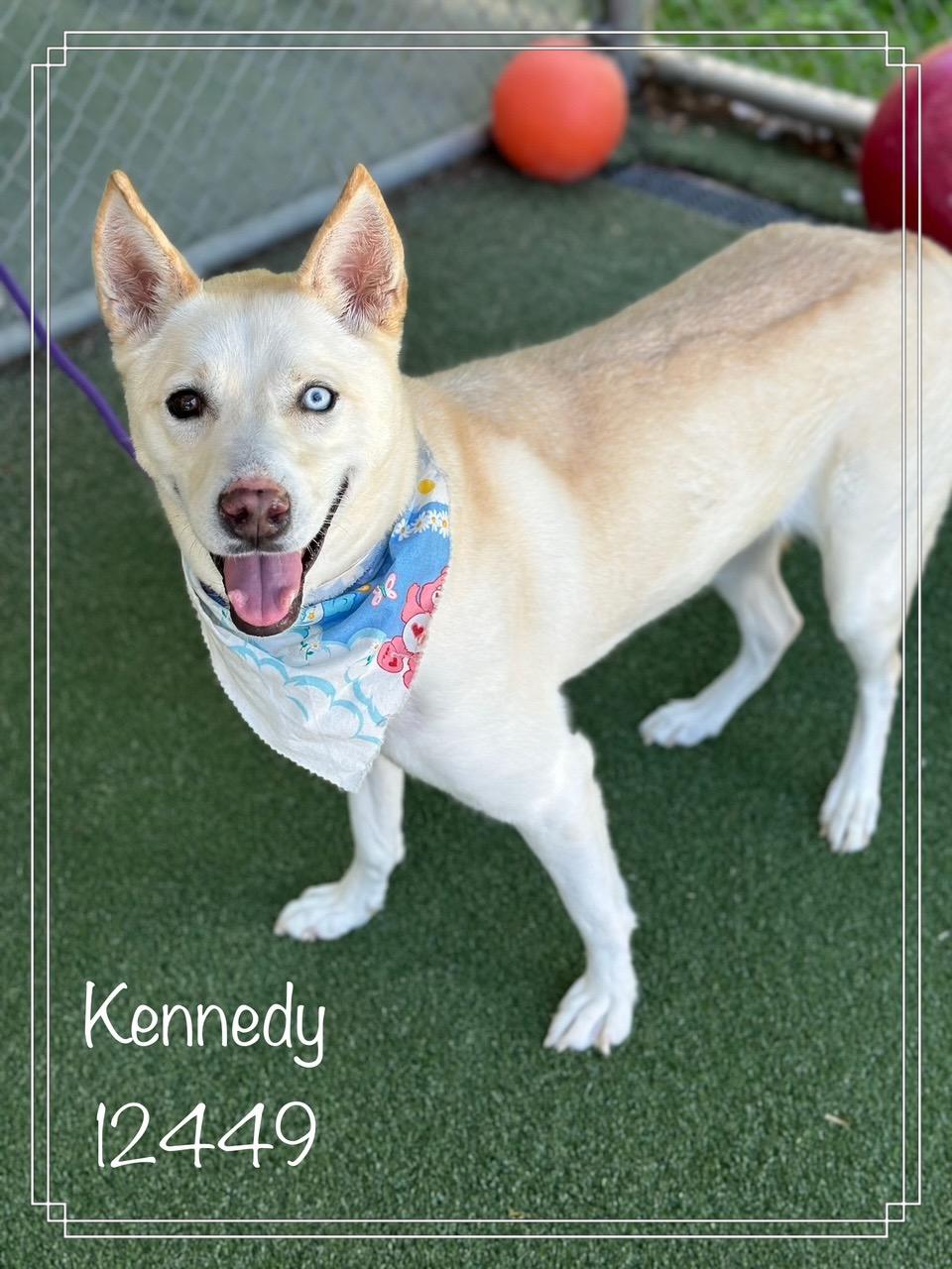 KENNEDY