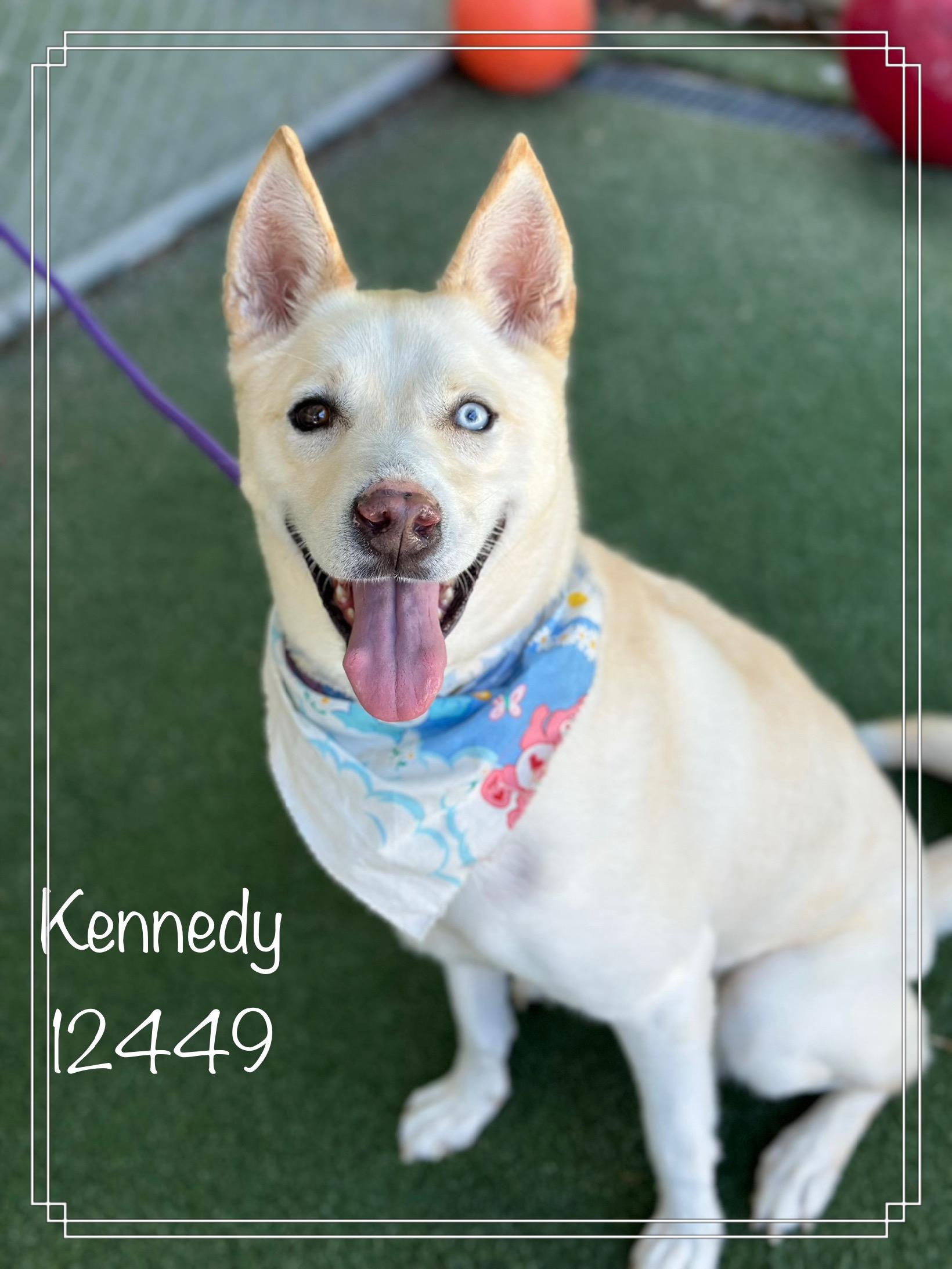 KENNEDY