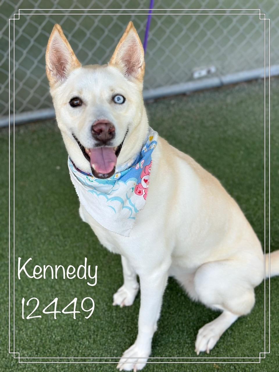KENNEDY