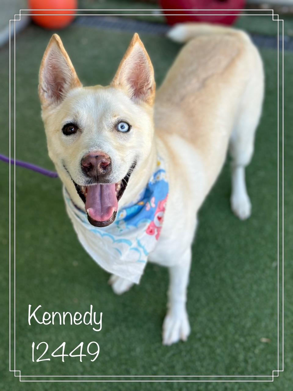 KENNEDY