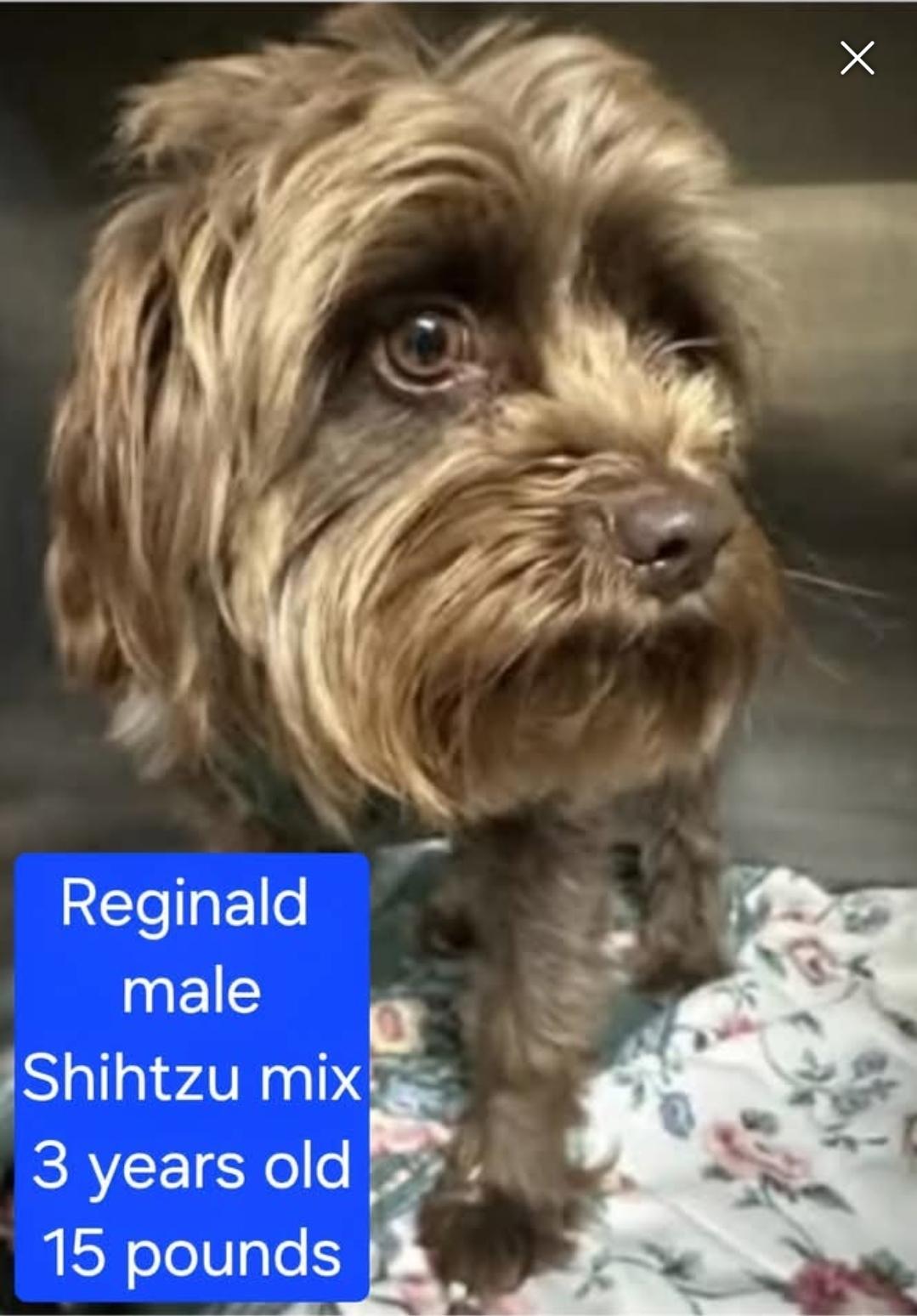 Reginald