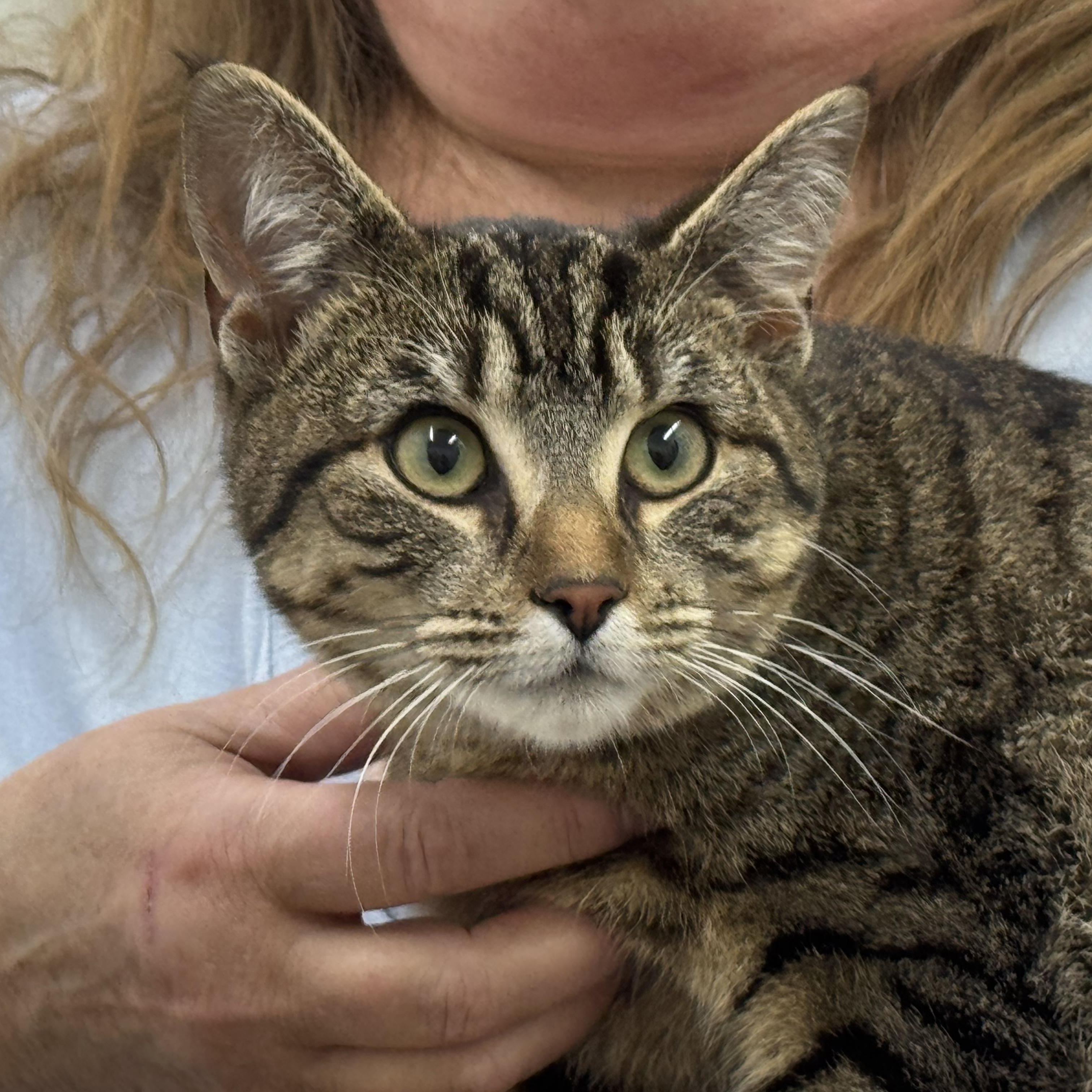 Mocha — thumbnail 2