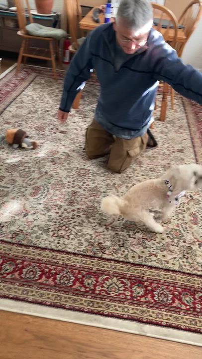 Enlarge Tyler, a ADOPTABLE mixed breed in Orange, CA video 3/6