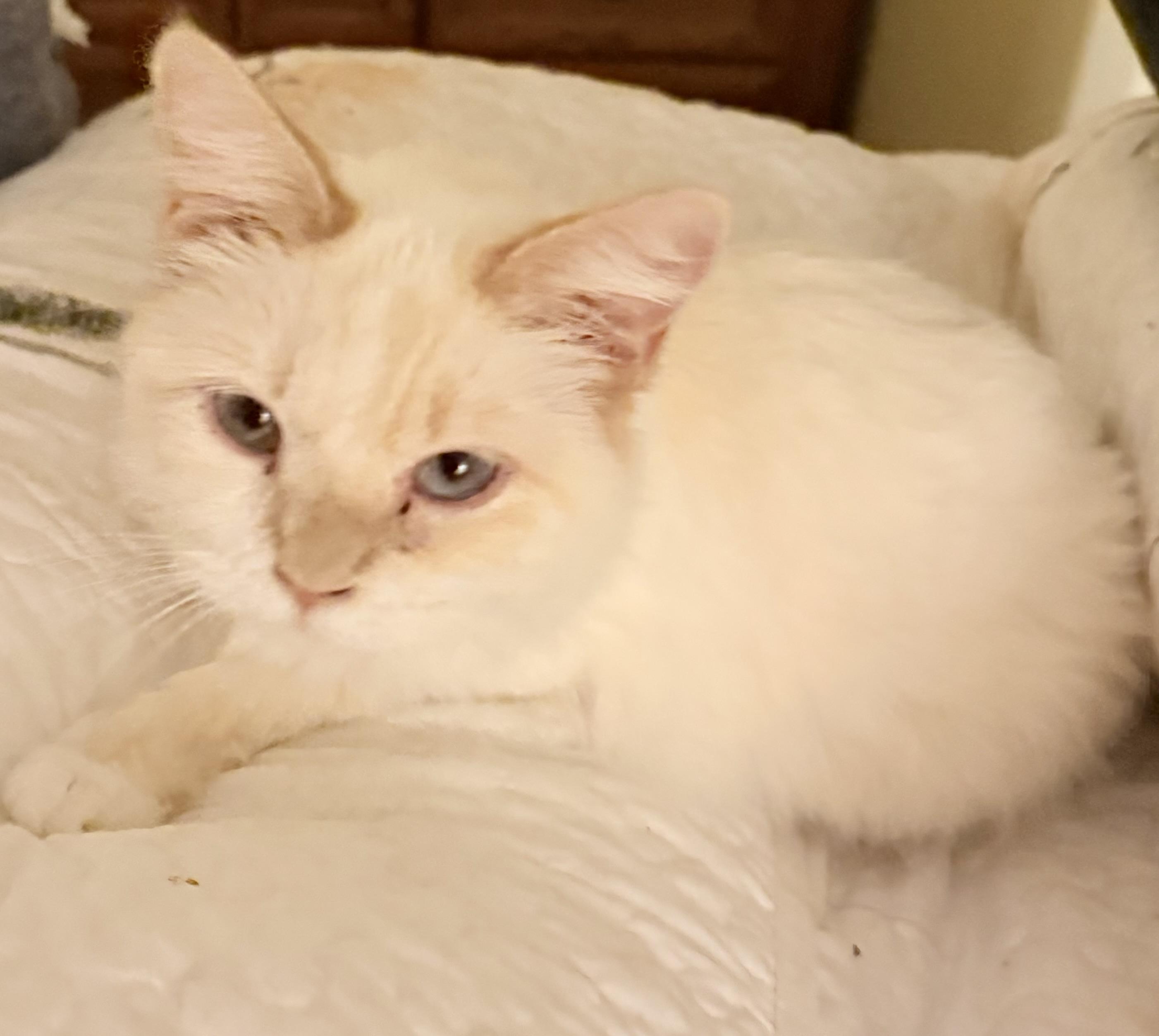 Sabrina photo
