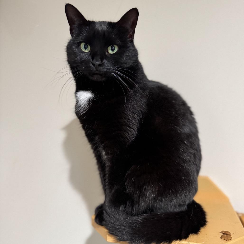 Minnie — thumbnail 2