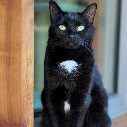 Minnie — thumbnail 3