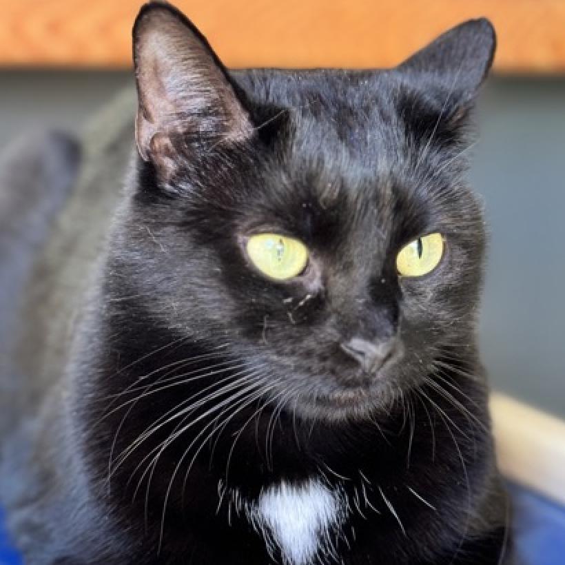 Minnie — thumbnail 5