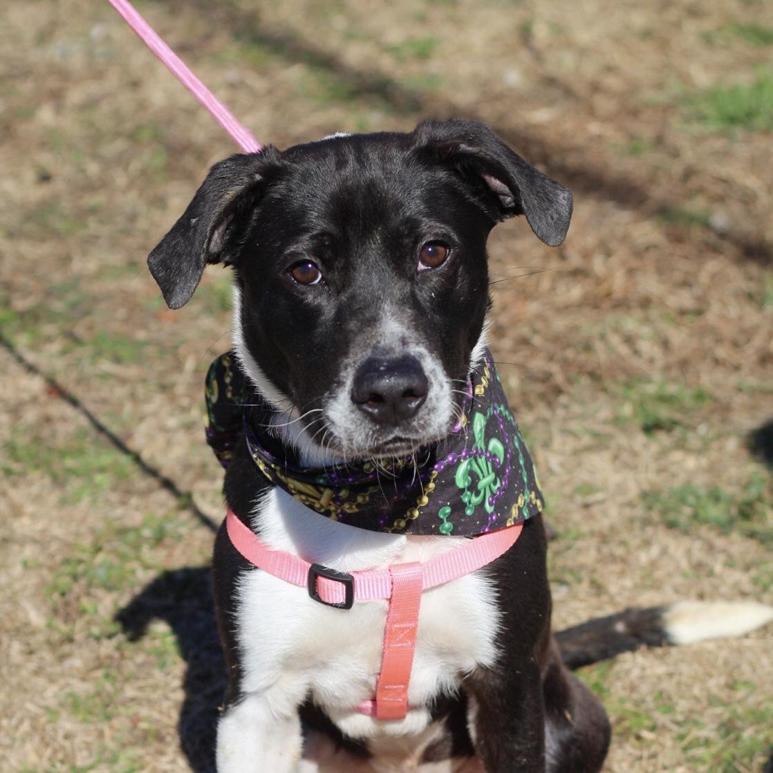 Johnson — thumbnail 5