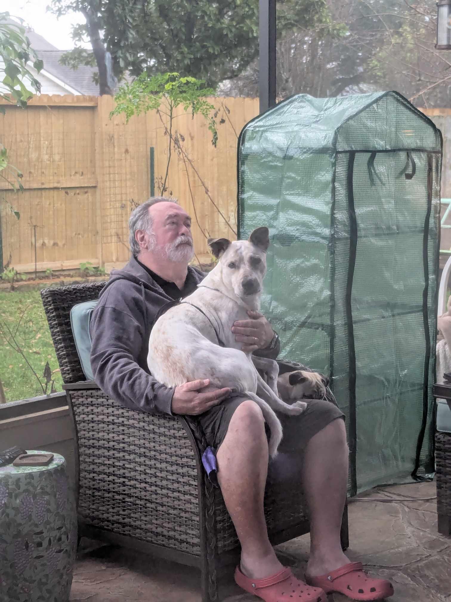 Saki, a Adoptable mixed breed in Hunting Valley, OH image 4/6