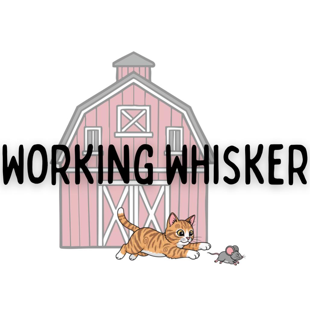 Enlarge Enchanted To Meet You, a Adoptable Domestic Short Hair in Davenport, IA image 4/6