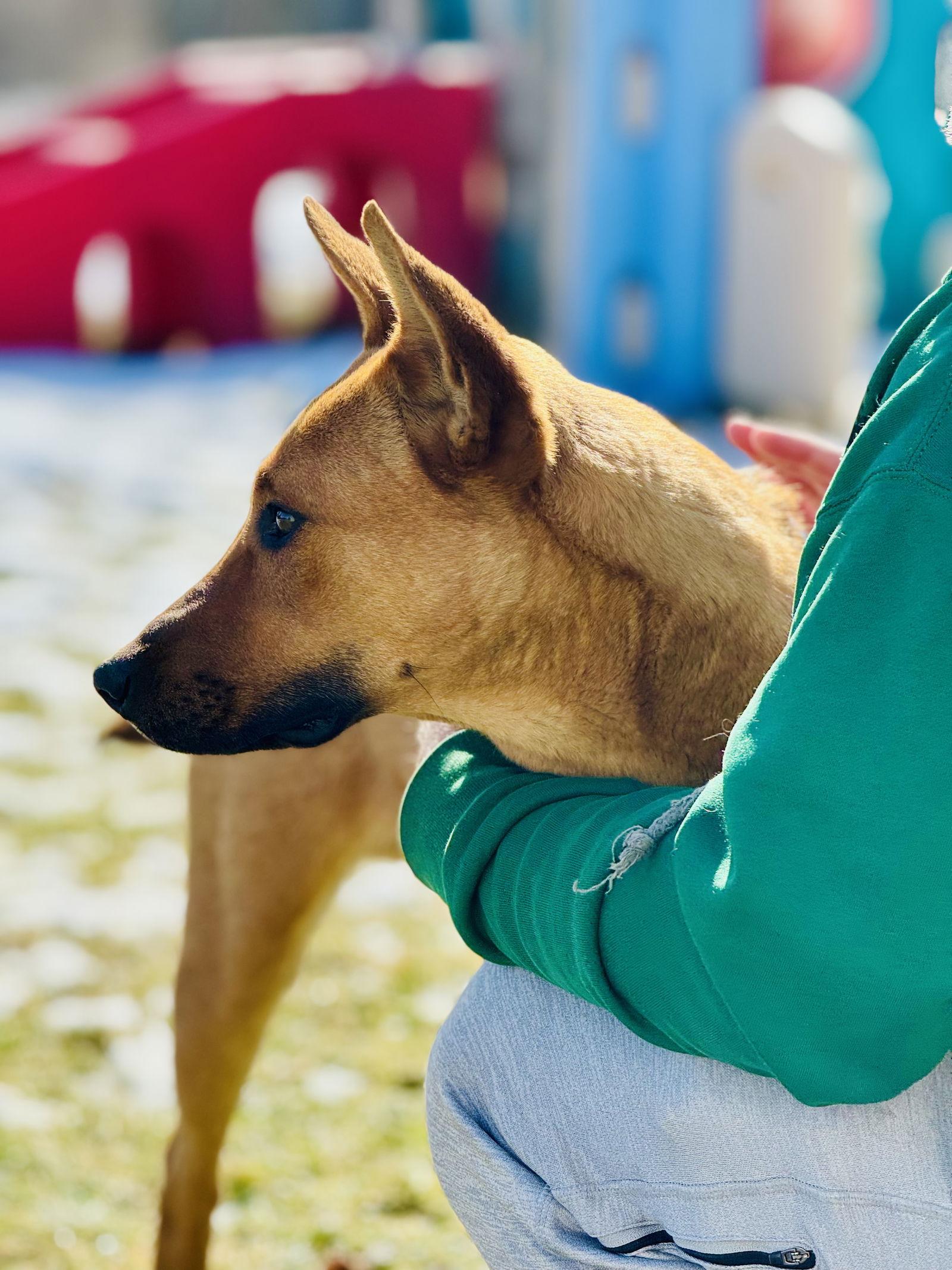 Benedict (Benny) — thumbnail 2