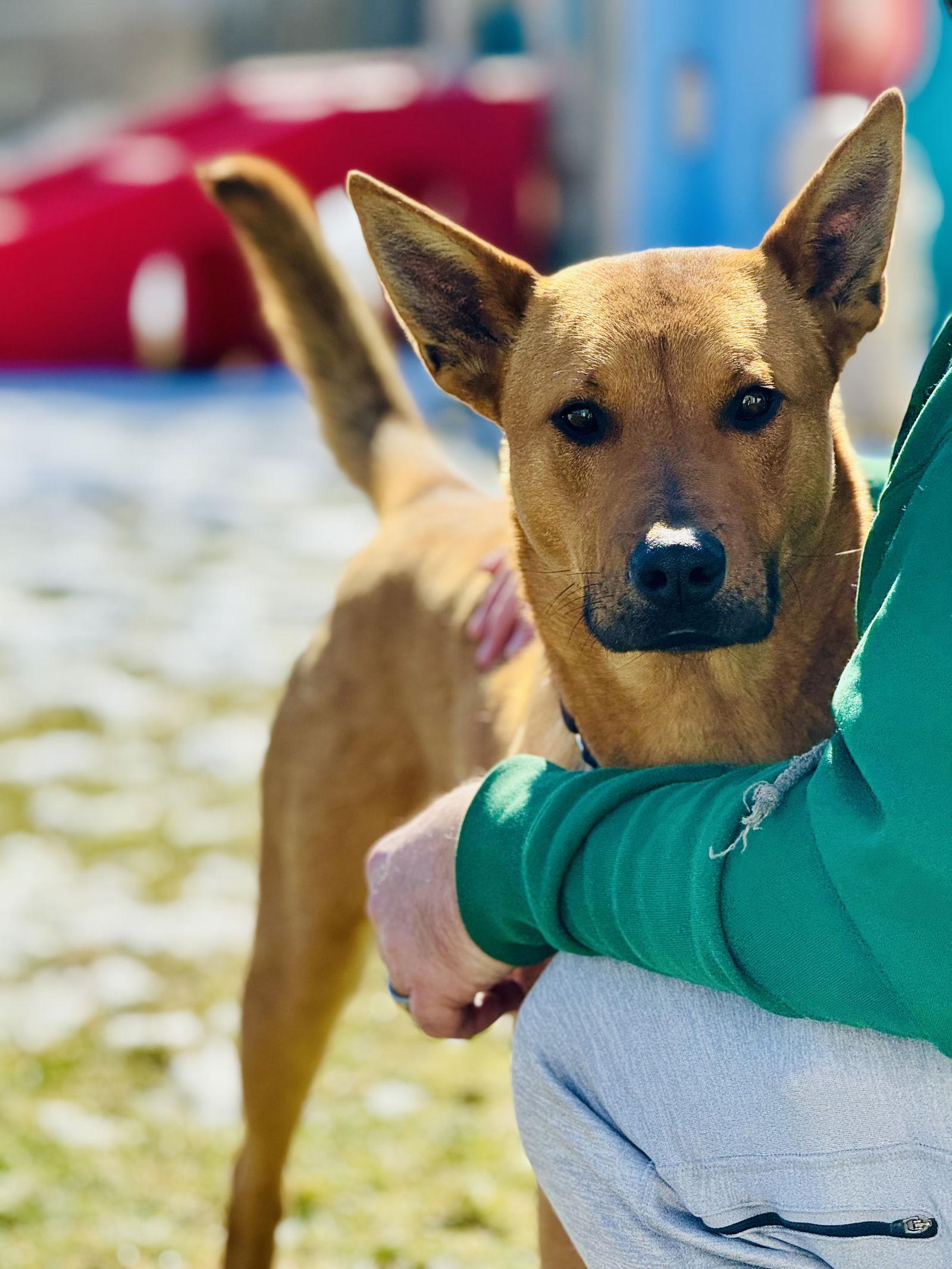 Benedict (Benny) — thumbnail 3