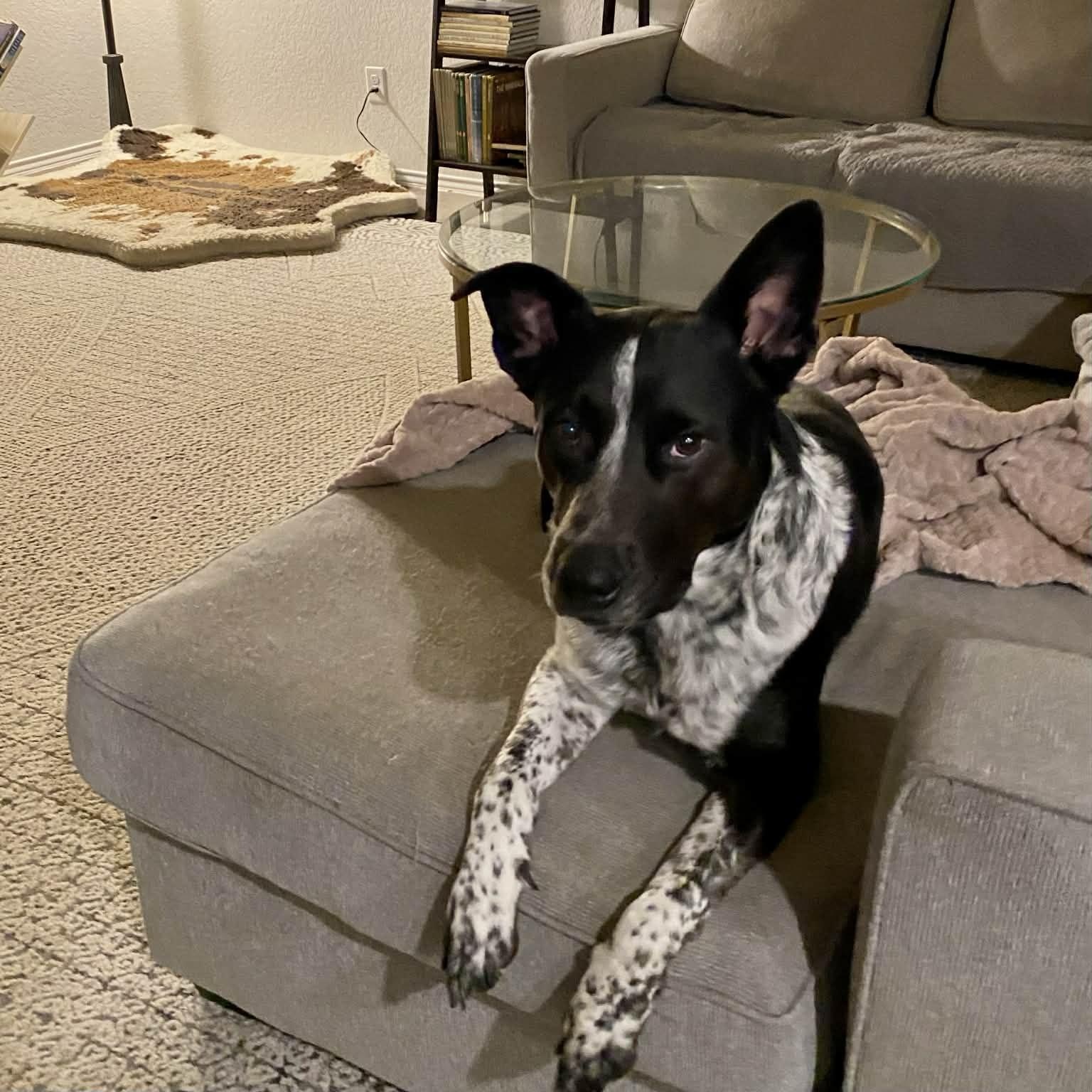 Rip Wheeler — thumbnail 2