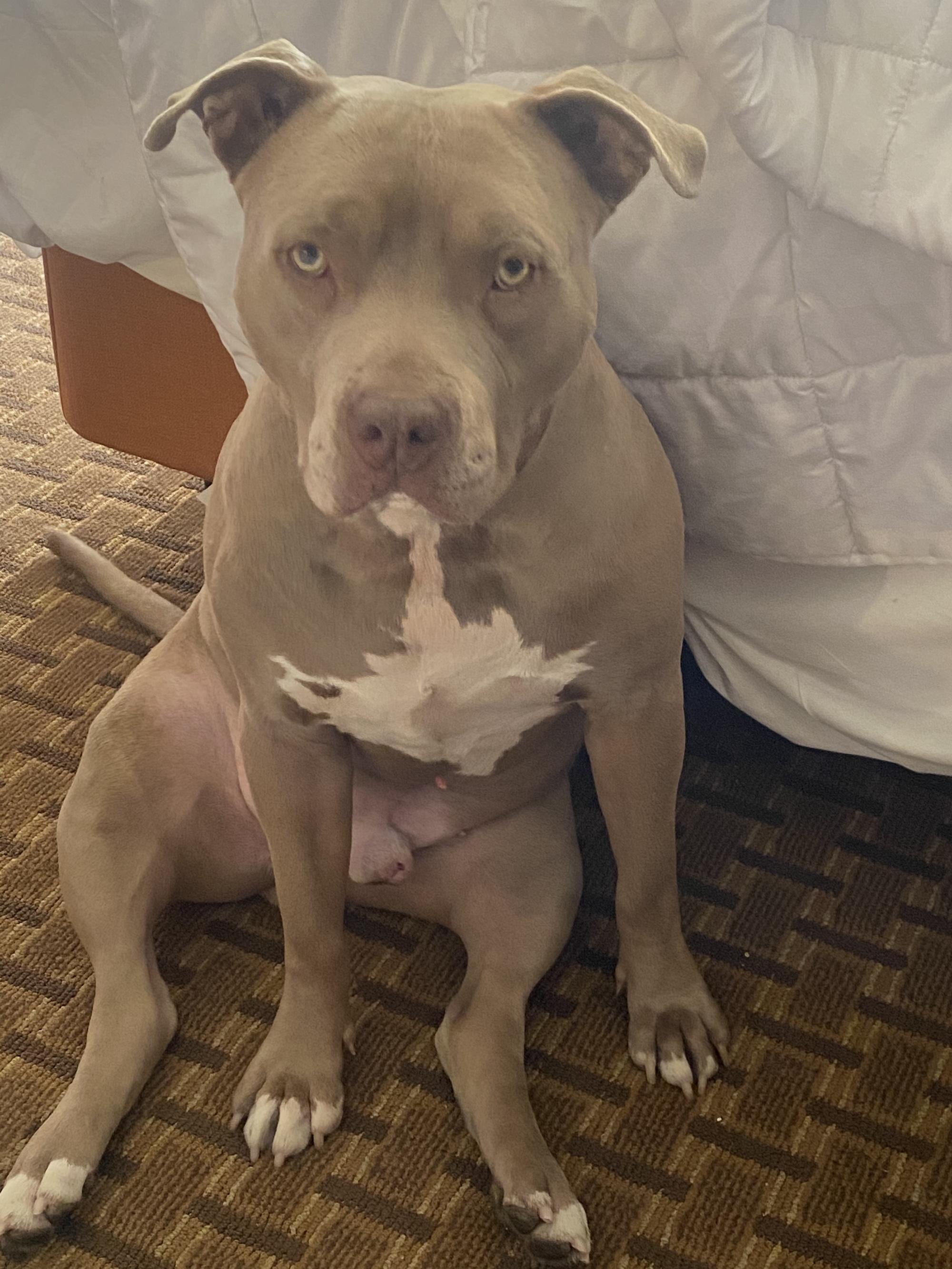Zeus