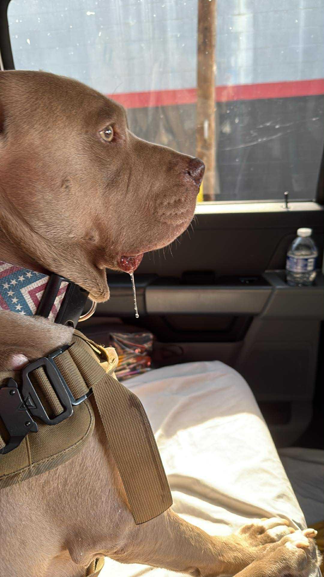 Zeus — thumbnail 2