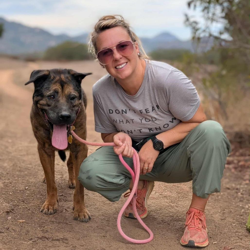 Enlarge Clover, a Adoptable Mixed Breed in Silver Spring, MD image 2/6