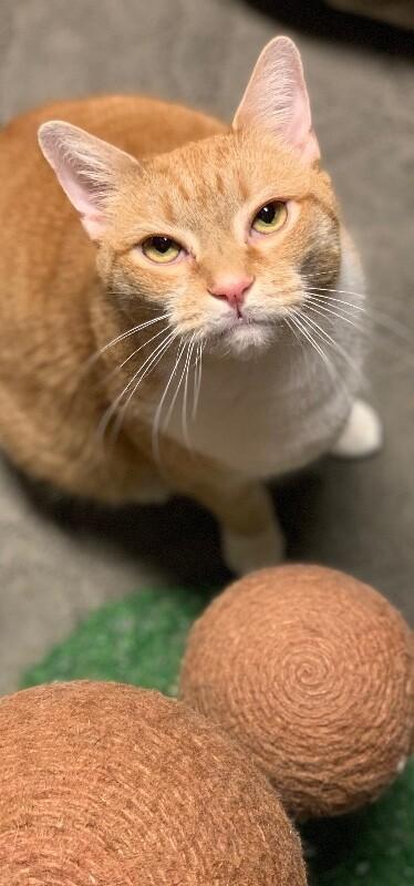 Sunny — thumbnail 3