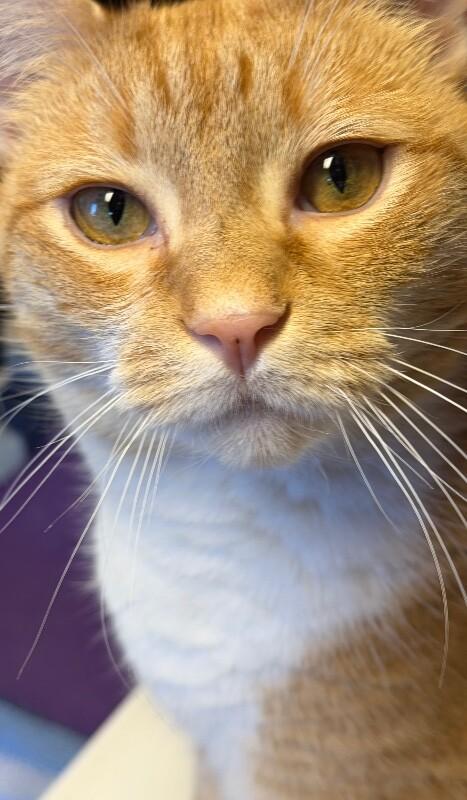 Sunny — thumbnail 6