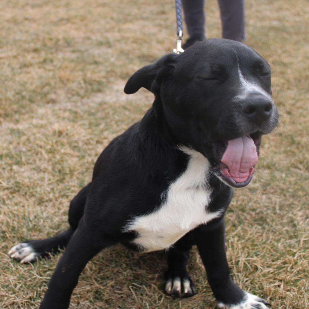 Klaus — thumbnail 2