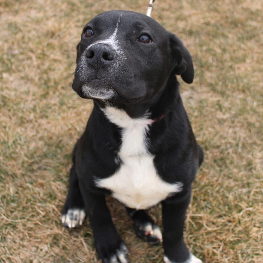 Klaus — thumbnail 3