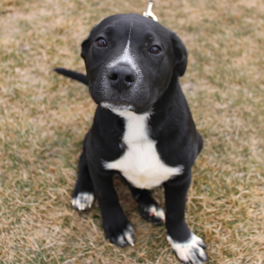 Klaus — thumbnail 4