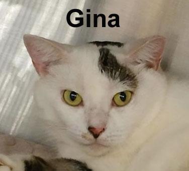 Gina Ricc. (very sweet female)