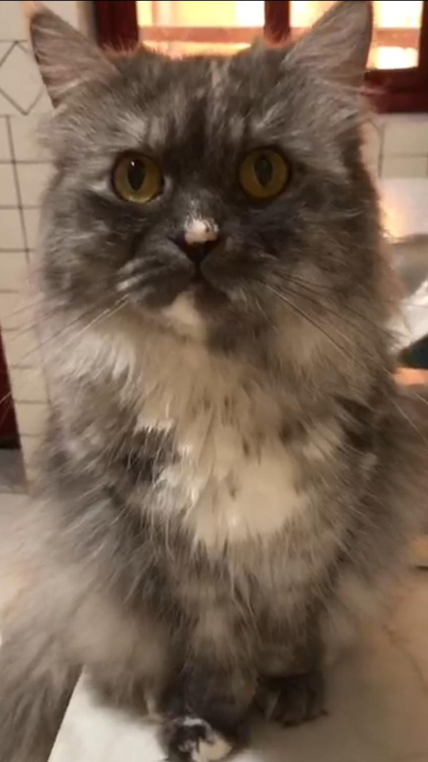 Precious thumbnail 6