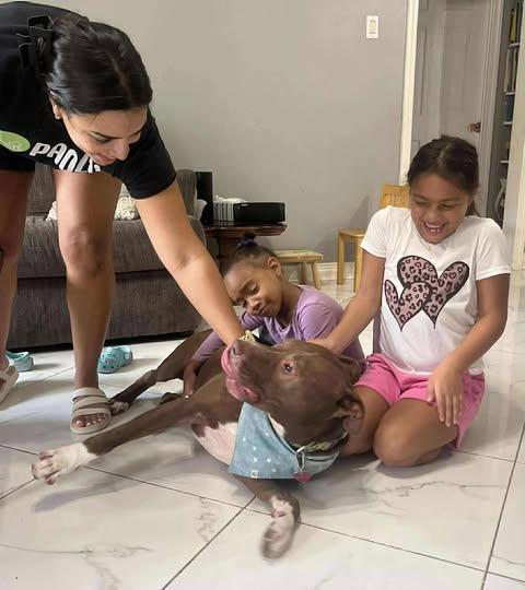 Bear — thumbnail 6