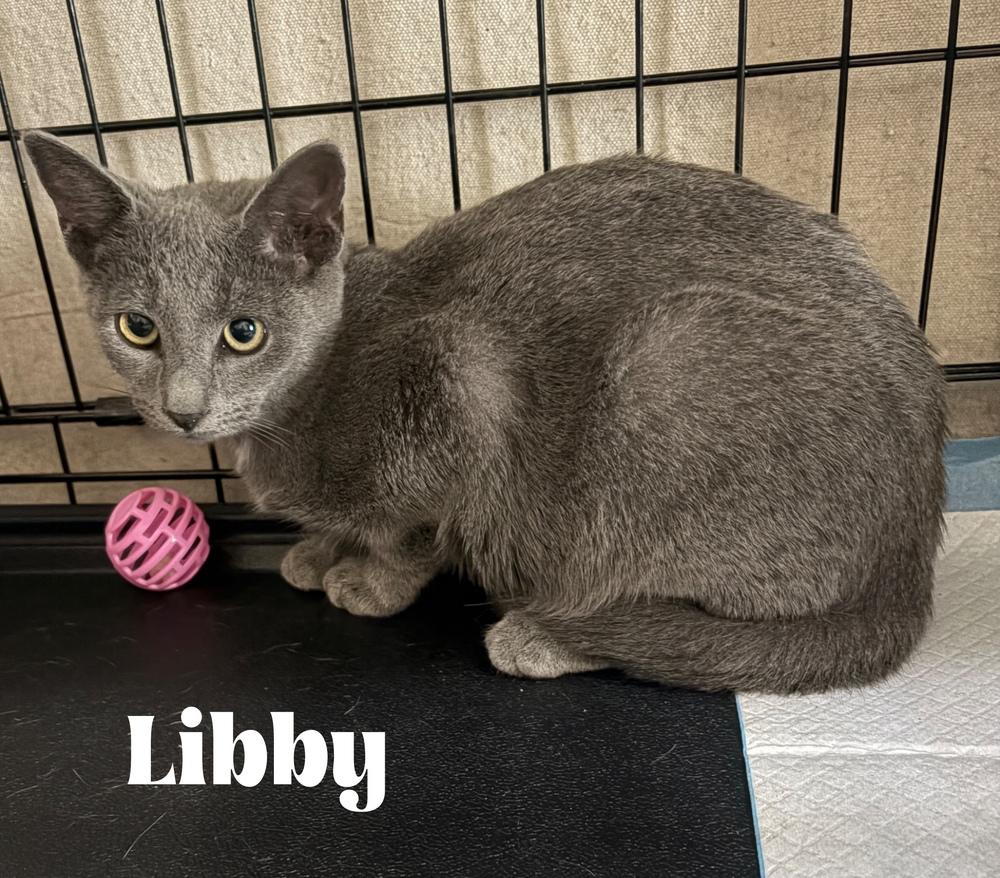 Libby photo