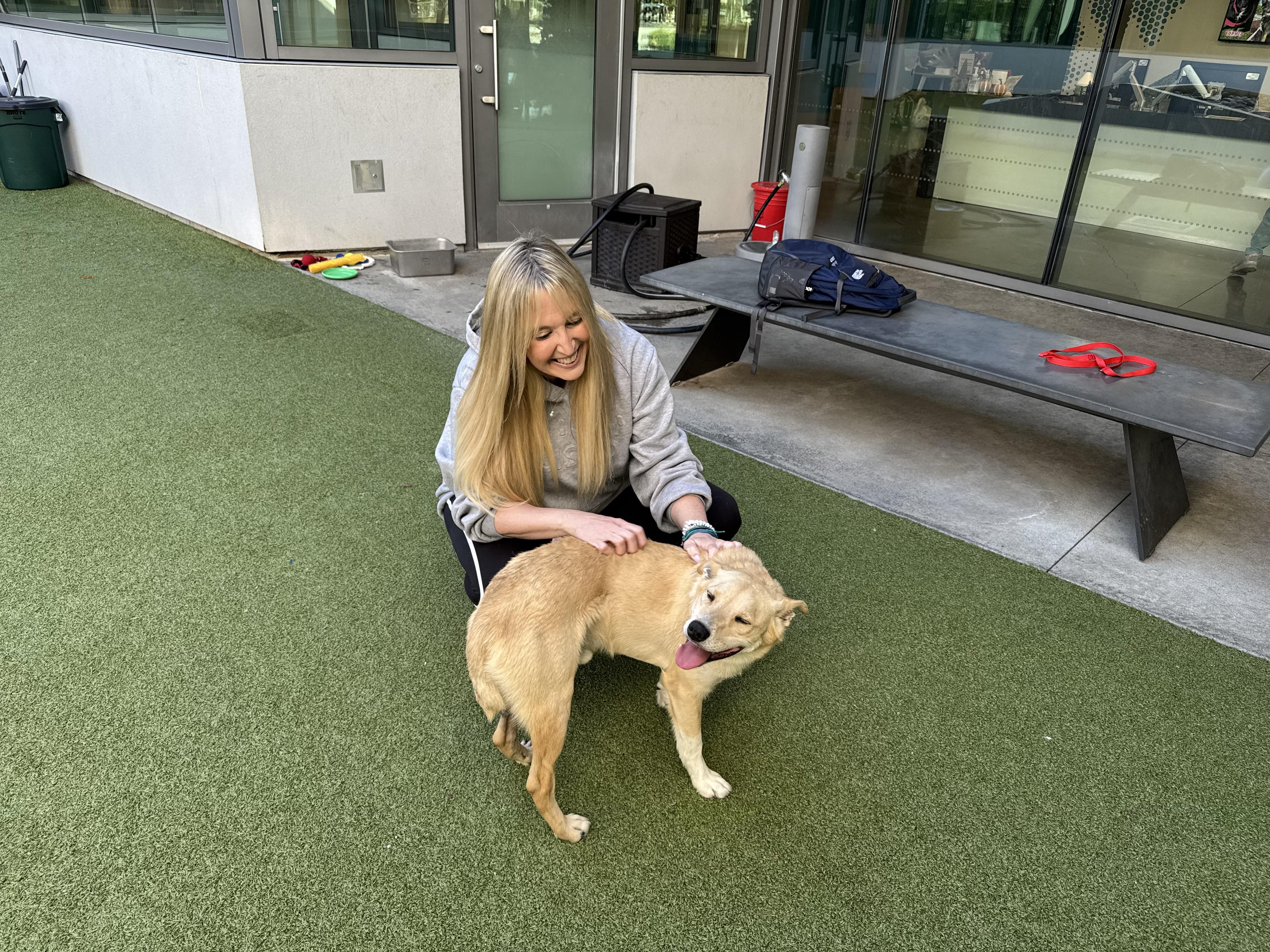 Maverick, a Adoptable mixed breed in Gilroy, CA image 4/5