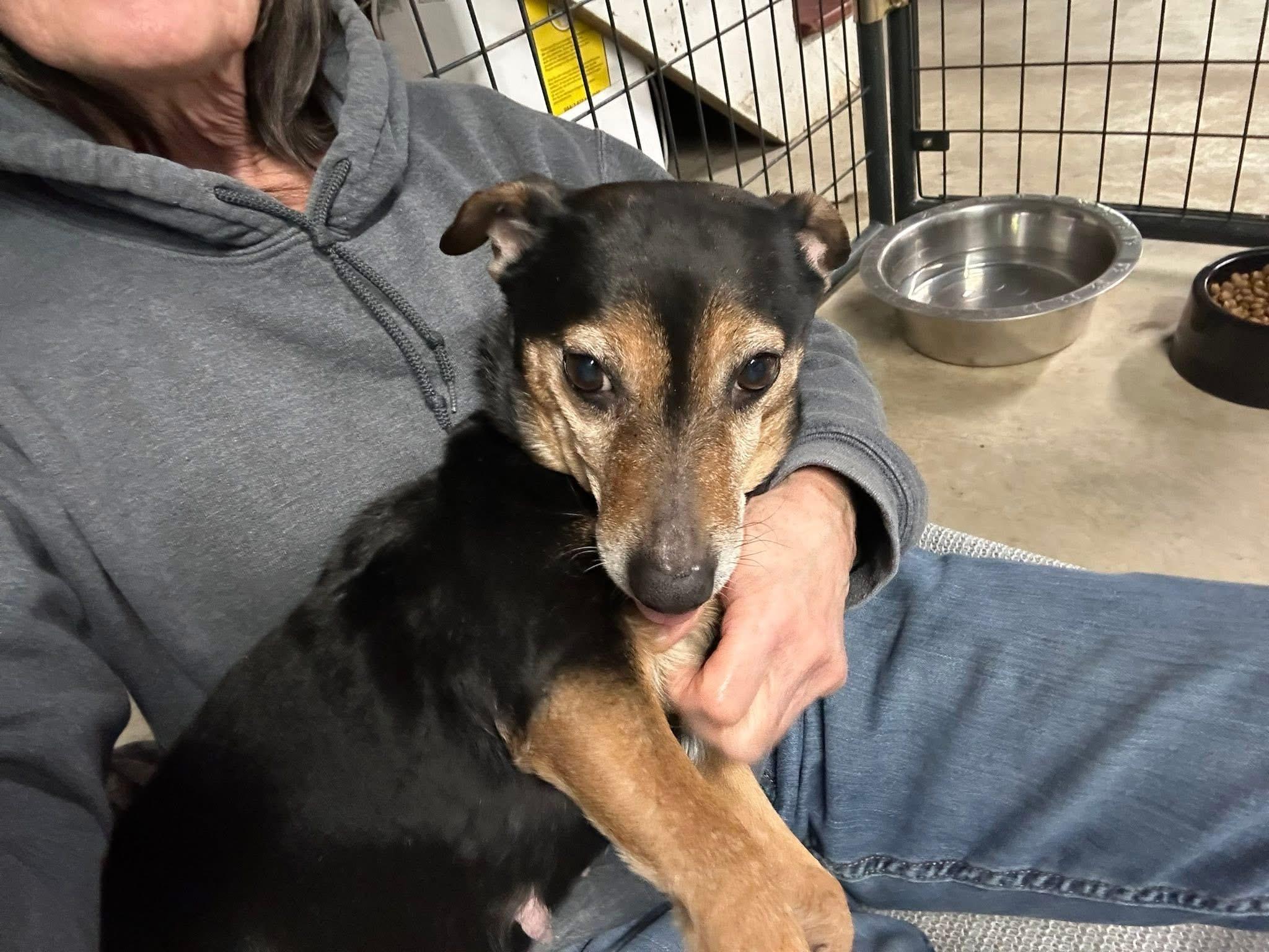 Mitzi — thumbnail 4