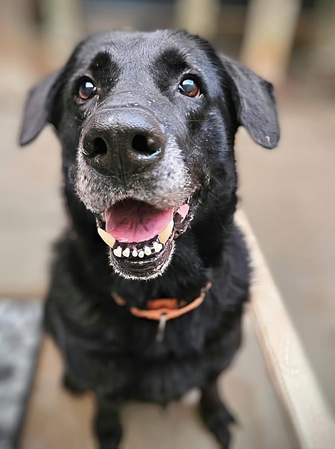 Ranger