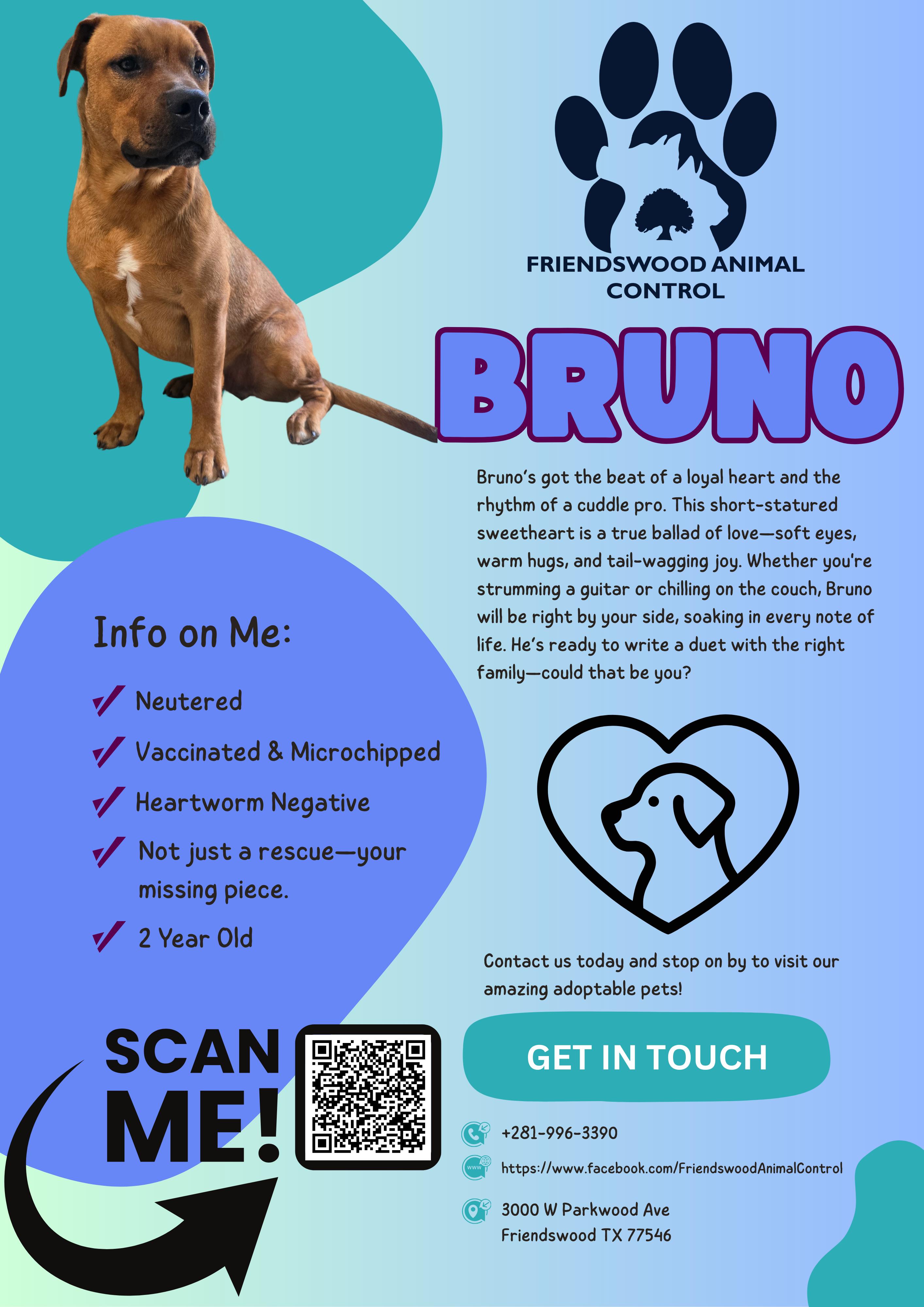 Bruno