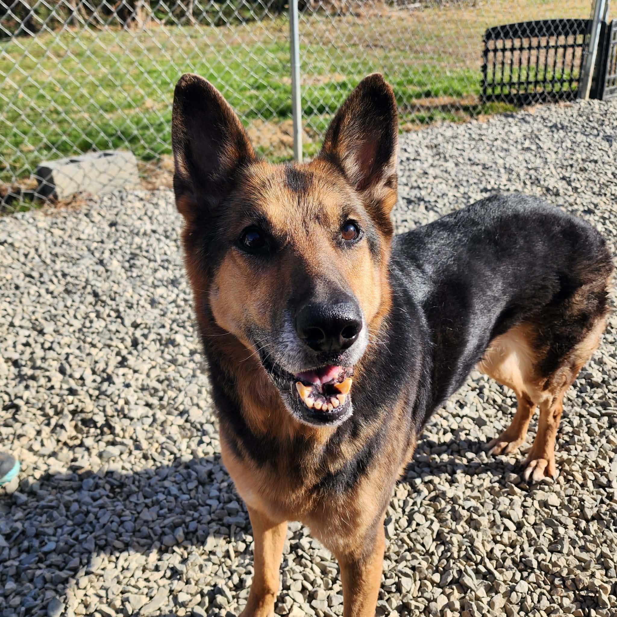 Ellie — thumbnail 6