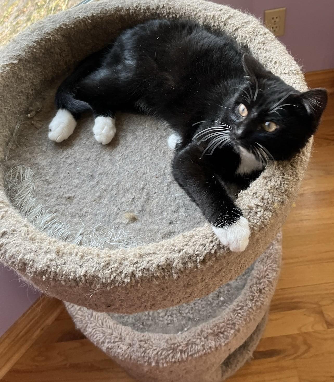 Petey