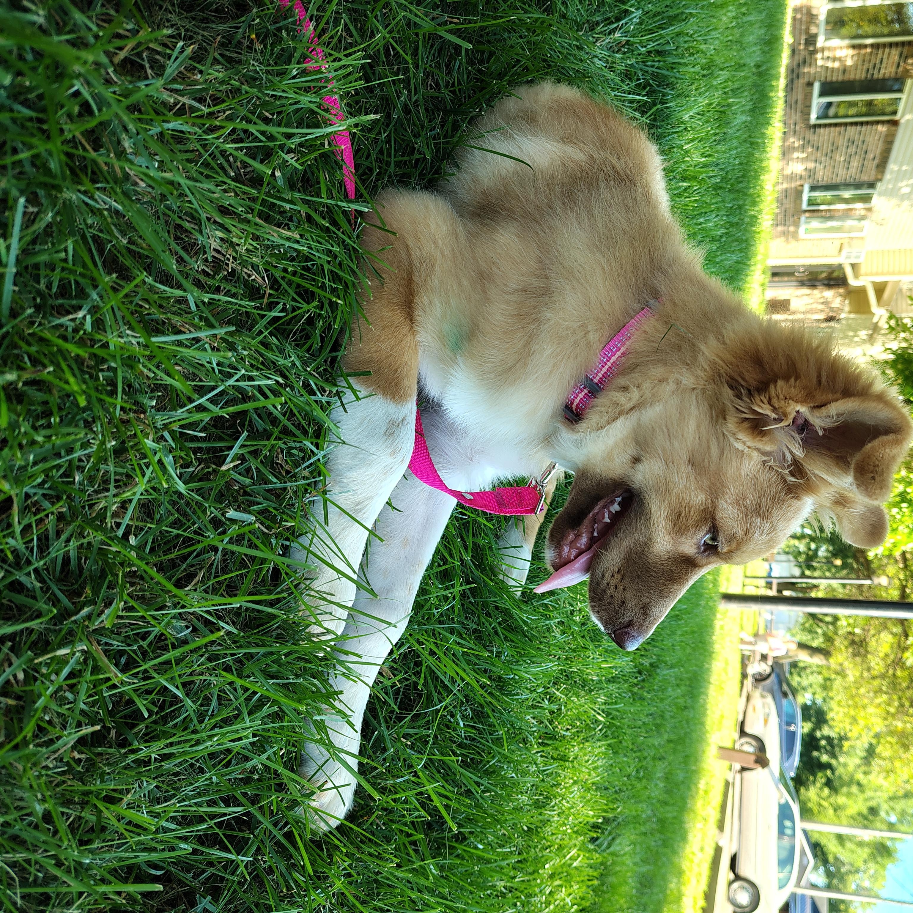 Sandy - photo 1