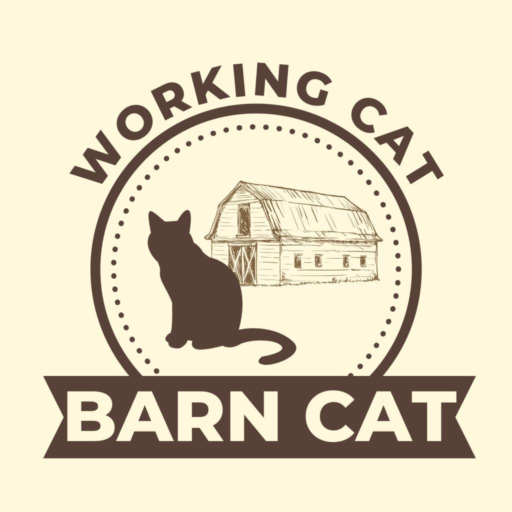 Enlarge Frank Gallagher, a Adoptable Domestic Short Hair in Nashville, IN image 2/3