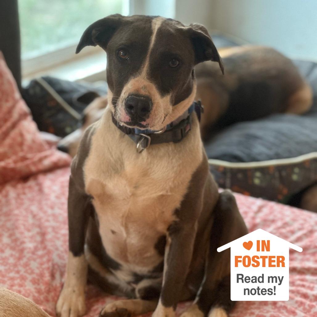 Tyler — thumbnail 2