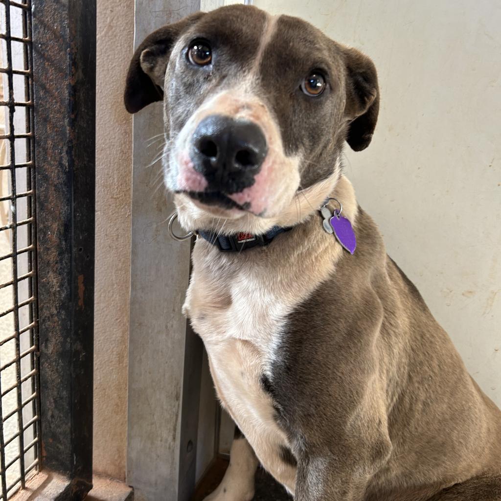 Tyler — thumbnail 3