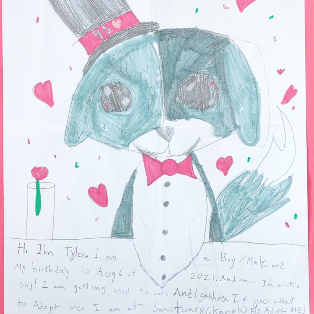 Tyler — thumbnail 5