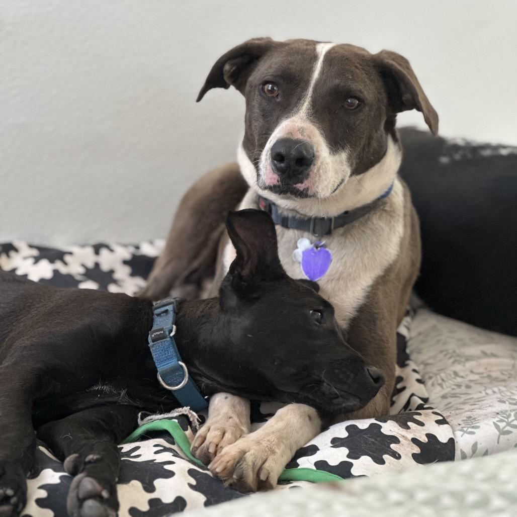 Tyler — thumbnail 6